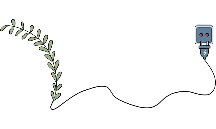 Ecosystème
